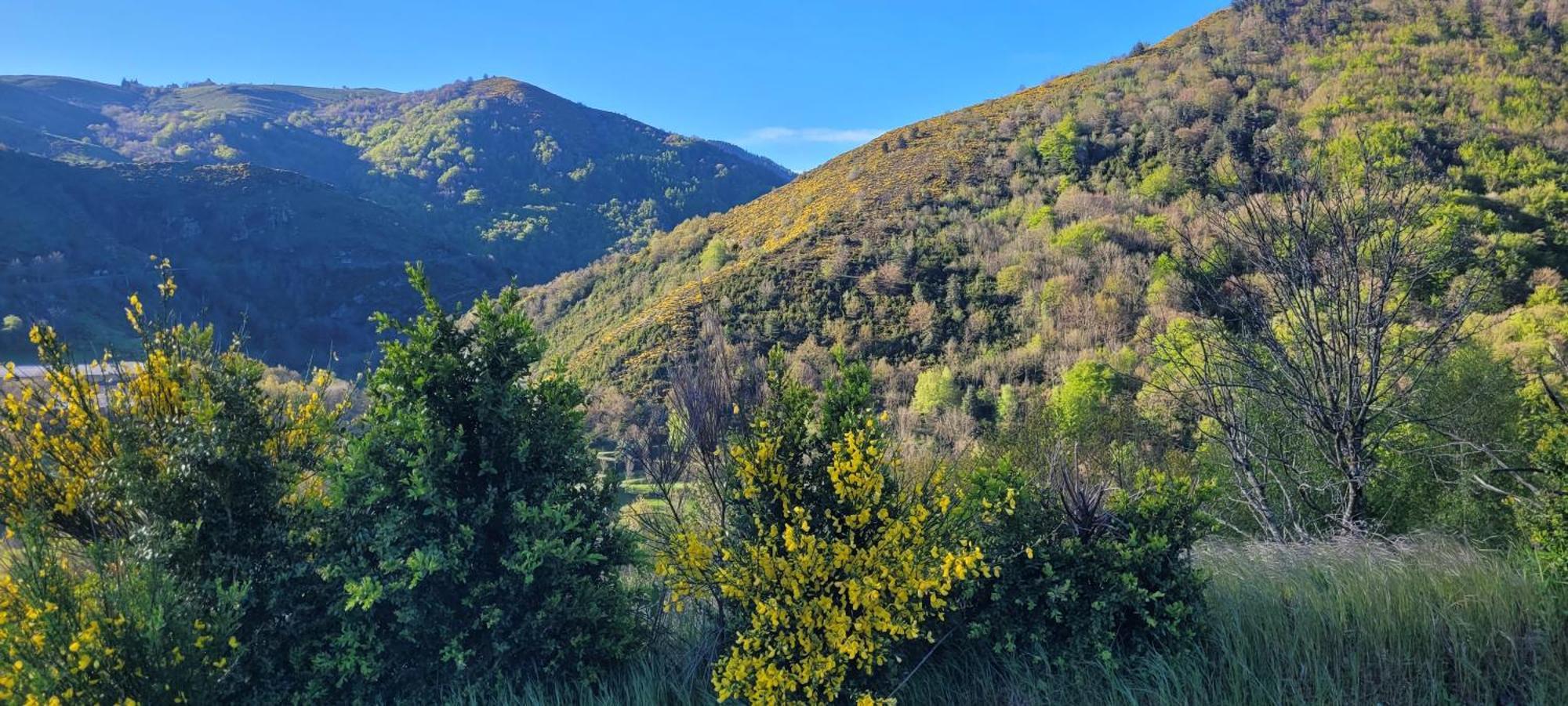 Appartamento Le Refuge De Rousses Esterno foto
